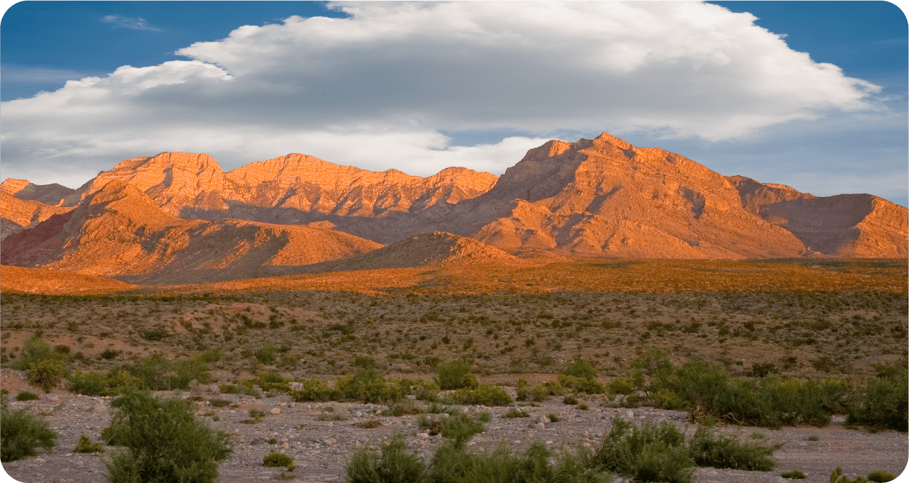 a field with a mountain in the background